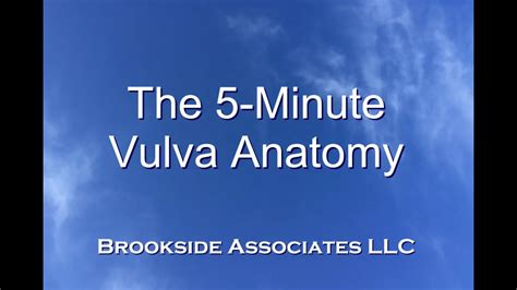 vagina echt|5 Minute Vulva Anatomy Video 